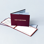 Книги, журналы, бланки Удостоверения